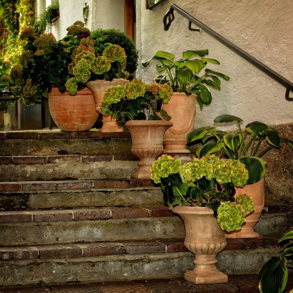 Лестница для растений