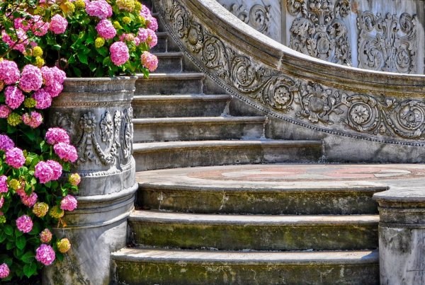 Цветы на лестнице