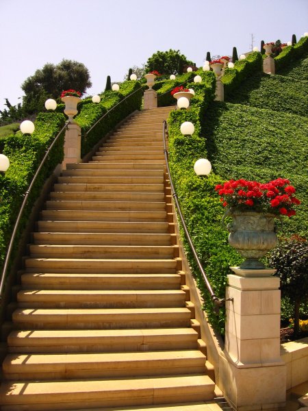 Красная дорожка