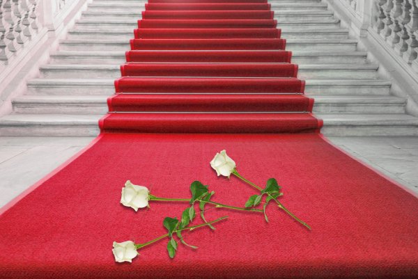 Цветочный сад