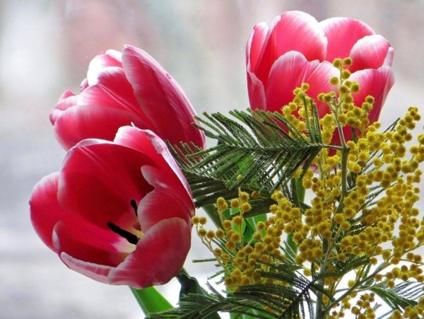 Весенние цветы с пожеланиями