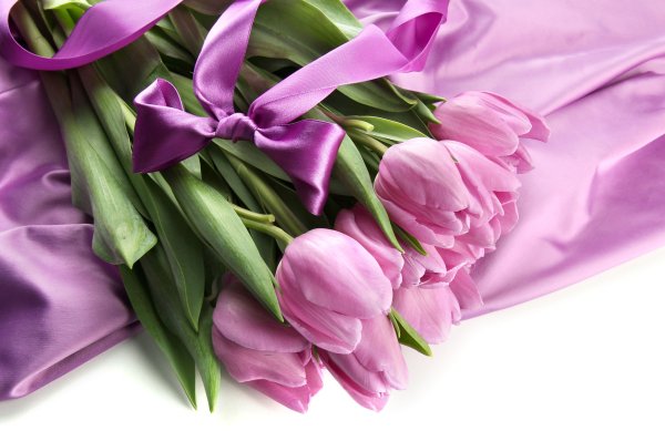 Красные анемоны в вазе