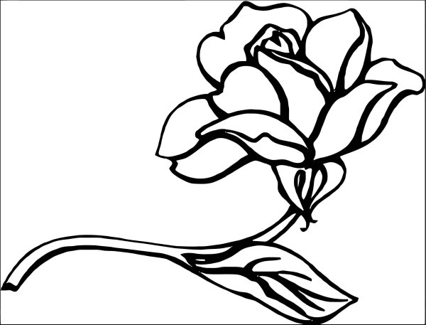 Цветок контурный рисунок