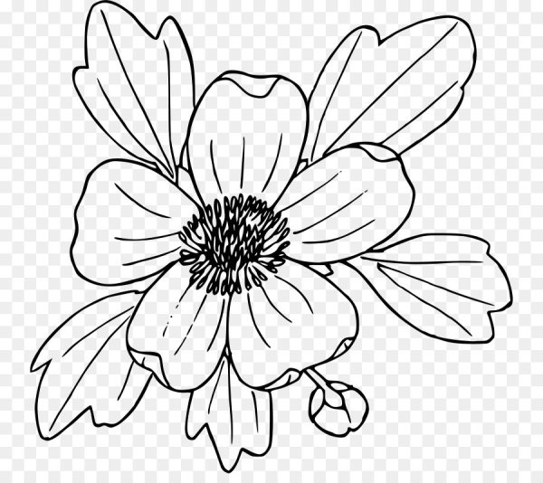 Нарисовать цветы