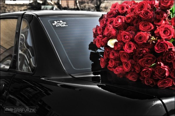 Розы на капоте
