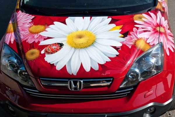 Аэрография на машине