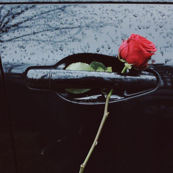 Розы на капоте