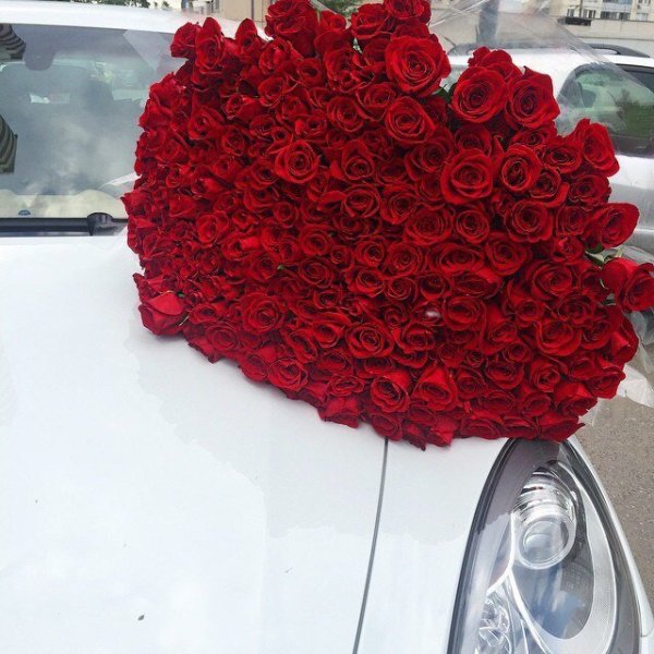 Цветы на белой машине