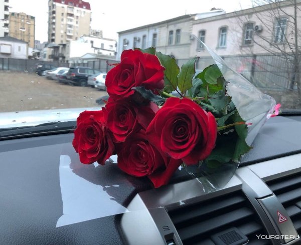 Розы в машине