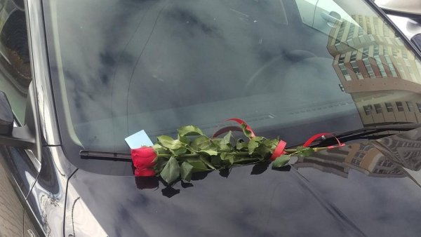 Цветы на капоте