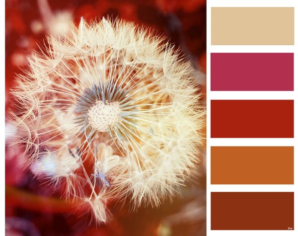 Колор Романюк палитра