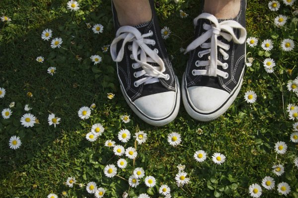 Кеды с ромашками