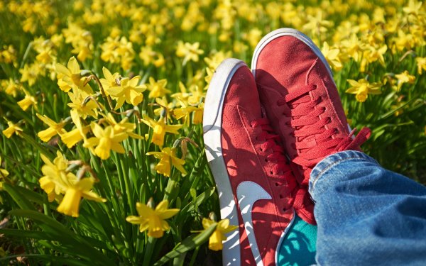 Кеды цветы дорога