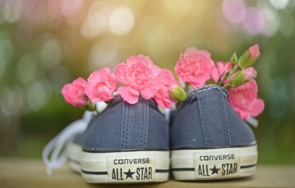 Картинка лето кеды цветы