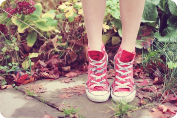 Цветы в кедах