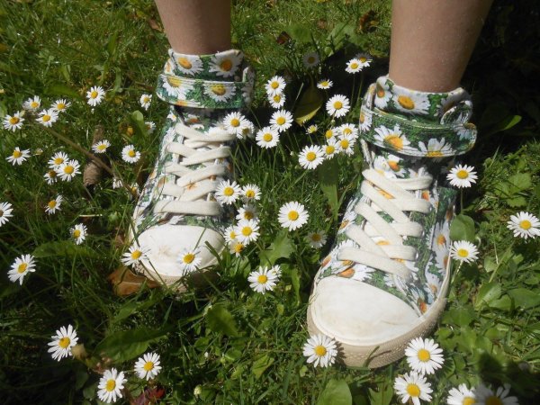 Эстетичное лето