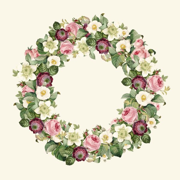 Цветы в круге