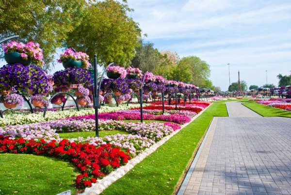 Парк Горького цветники аллея