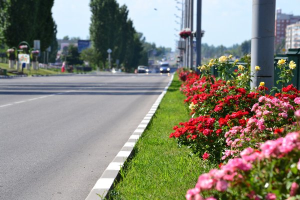 Городские улицы бордюры с цветам городские
