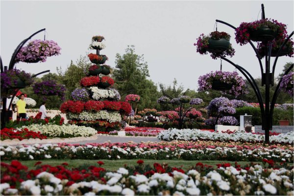Al Ain Paradise парк