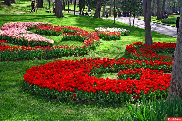 Клумбы в парке