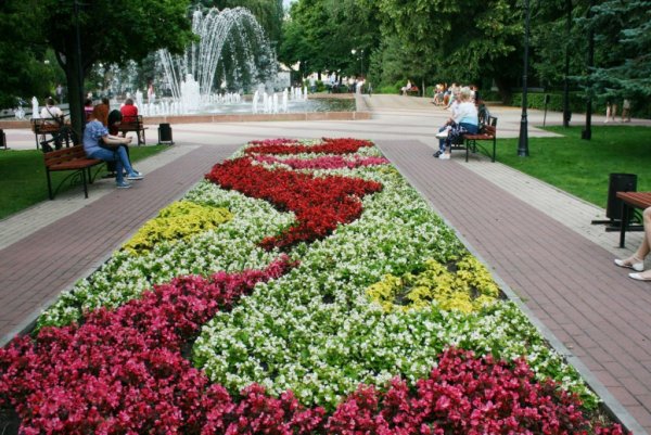 Петровский сквер Воронеж клумба