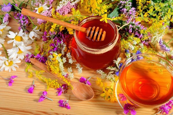 Сирень обыкновенная медовый спас