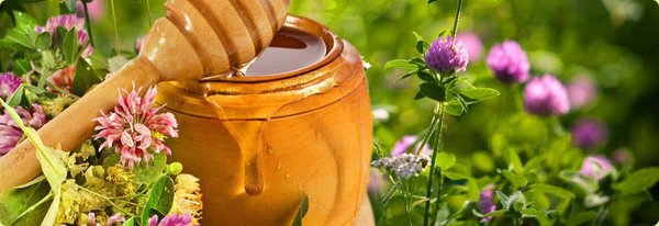 Мед Луговое разнотравье пчела