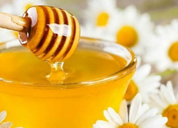 Медовый спас