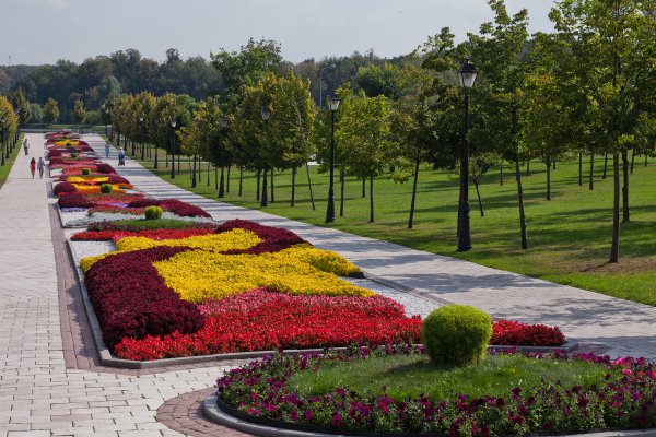 Сокольники парк Центральная клумба