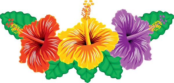 Цветы для вырезания цветные красивые