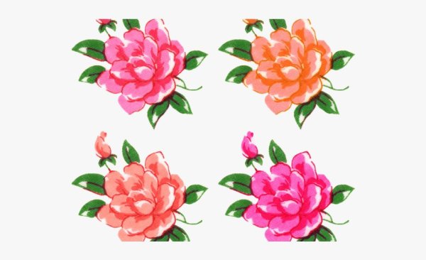 Цветы для вырезки цветные