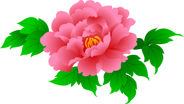 Цветы для детей на прозрачном фоне