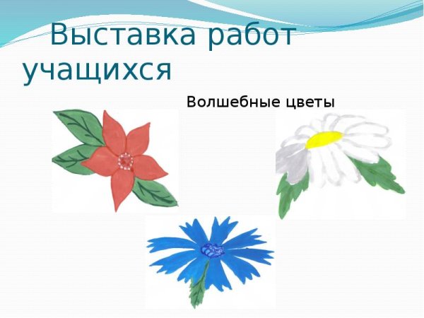 Цветы нашей Родины