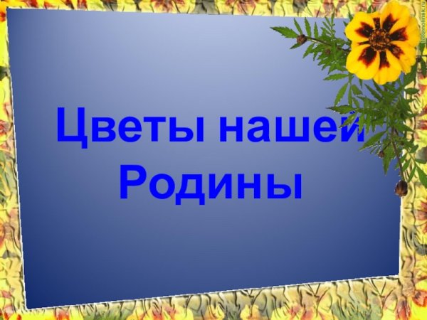 Поделка на день России в садик