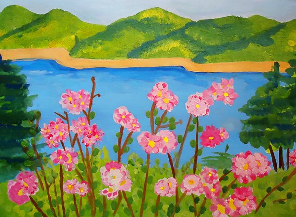 Ромашки в деревне летом