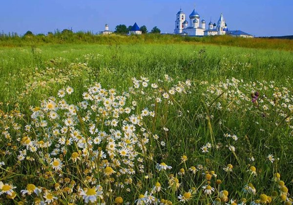 Заливные Луга Подмосковья