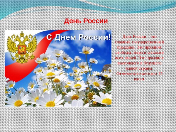 Россия просторы Березки реки