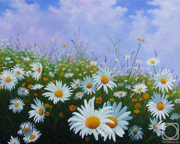 Природа нашей Родины