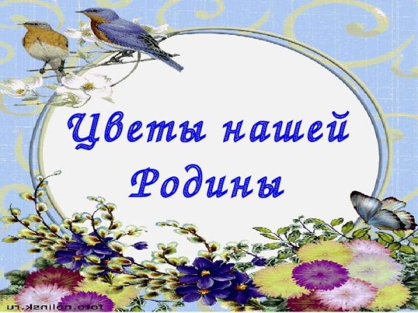 Поляна с березами