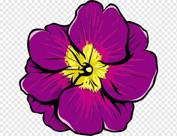 Анютины глазки цветы вектор