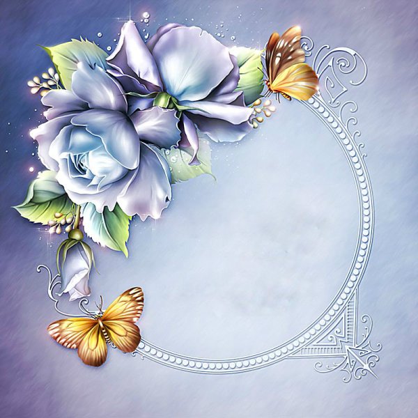 Barnali Bagchi бабочки