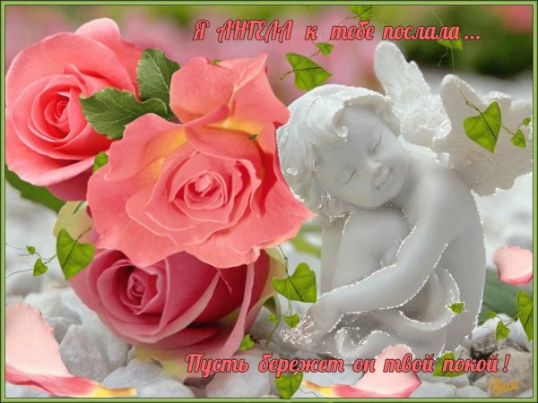 Открытки с ангелочками и розами