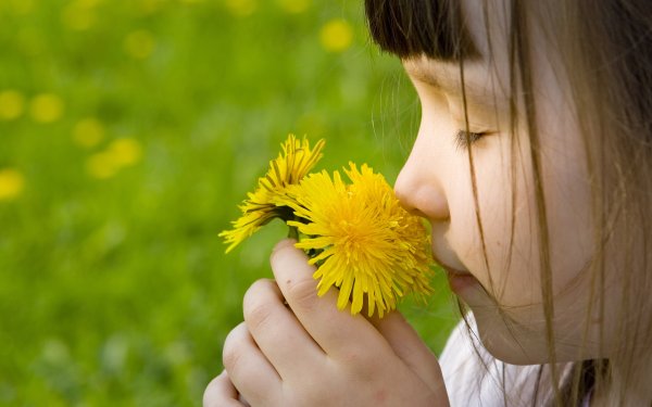 Девочка с одуванчиком