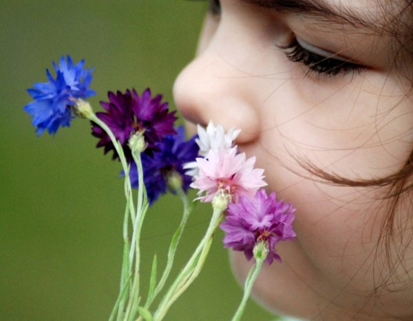 Нюхает цветок