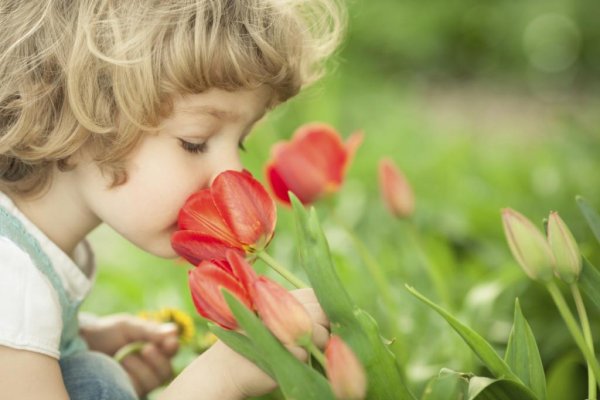 Девушка нюхает букет цветов