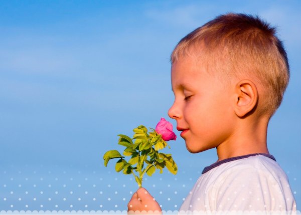 Нехат цветок