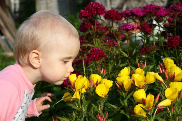 Девочка нюхает цветок