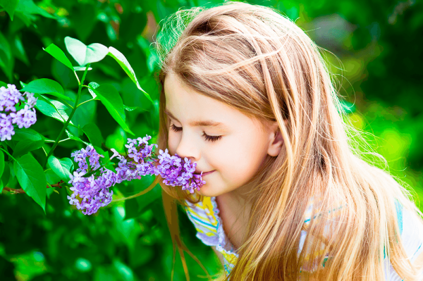 Аромат цветов