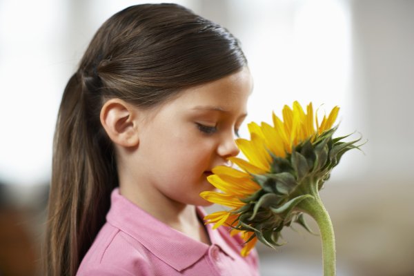 Вдыхать аромат